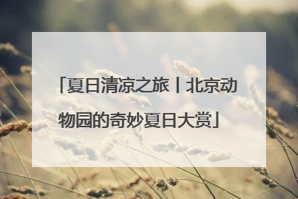 夏日清凉之旅丨北京动物园的奇妙夏日大赏