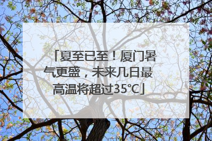夏至已至！厦门暑气更盛，未来几日最高温将超过35℃