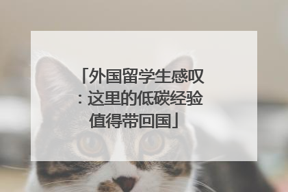 外国留学生感叹：这里的低碳经验值得带回国