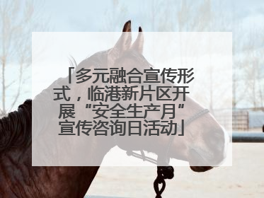 多元融合宣传形式，临港新片区开展“安全生产月”宣传咨询日活动