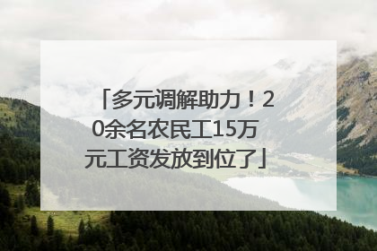 多元调解助力！20余名农民工15万元工资发放到位了