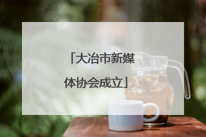 大冶市新媒体协会成立