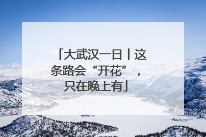 大武汉一日丨这条路会“开花”，只在晚上有