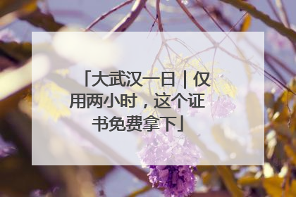 大武汉一日｜仅用两小时，这个证书免费拿下