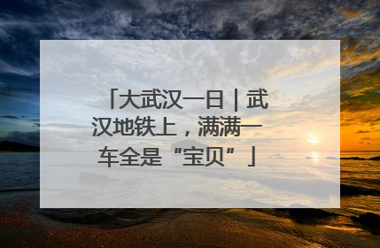 大武汉一日｜武汉地铁上，满满一车全是“宝贝”