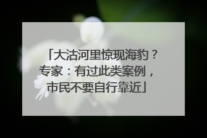 大沽河里惊现海豹？专家：有过此类案例，市民不要自行靠近
