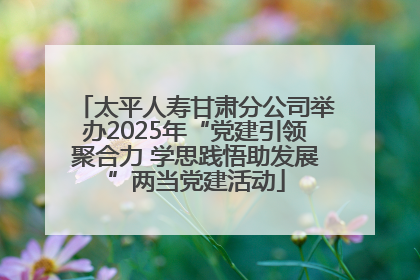 太平人寿甘肃分公司举办2025年“党建引领聚合力 学思践悟助发展”两当党建活动