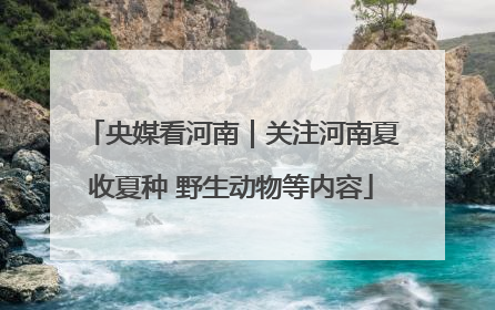 央媒看河南｜关注河南夏收夏种 野生动物等内容