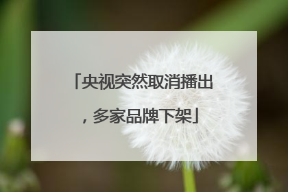 央视突然取消播出，多家品牌下架