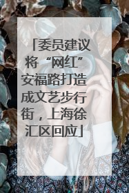 委员建议将“网红”安福路打造成文艺步行街，上海徐汇区回应