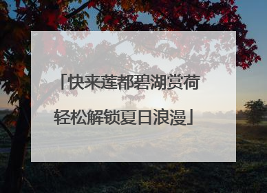 快来莲都碧湖赏荷 轻松解锁夏日浪漫
