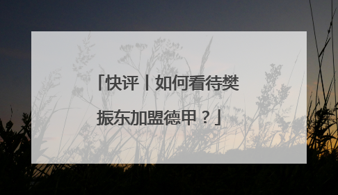 快评丨如何看待樊振东加盟德甲？