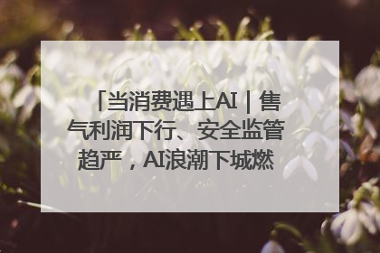 当消费遇上AI｜售气利润下行、安全监管趋严，AI浪潮下城燃企业如何破局