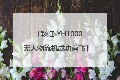 彩虹-YH1000无人物流机成功首飞