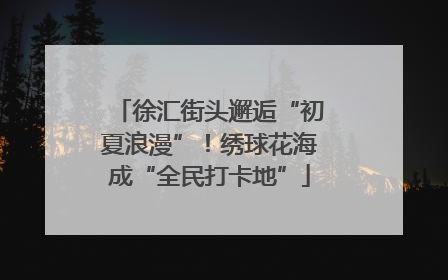 徐汇街头邂逅“初夏浪漫”！绣球花海成“全民打卡地”