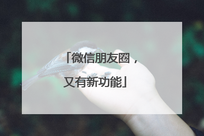 微信朋友圈，又有新功能