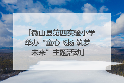 微山县第四实验小学举办“童心飞扬 筑梦未来”主题活动