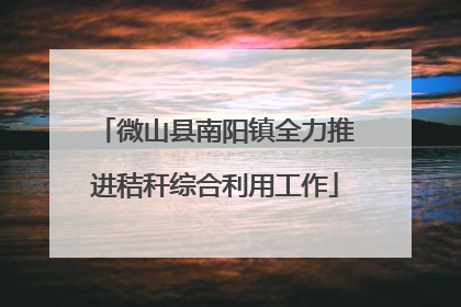 微山县南阳镇全力推进秸秆综合利用工作