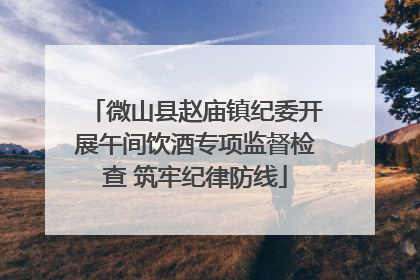 微山县赵庙镇纪委开展午间饮酒专项监督检查 筑牢纪律防线