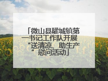 微山县驩城镇第一书记工作队开展“送清凉、助生产”慰问活动