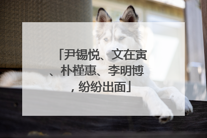 尹锡悦、文在寅、朴槿惠、李明博，纷纷出面