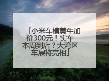 小米车模黄牛加价300元！实车本周到店？大湾区车展将亮相