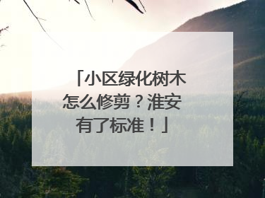 小区绿化树木怎么修剪？淮安有了标准！