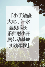 小手触碰大地，汗水遇见成长 乐师附小开展劳动基地实践课程