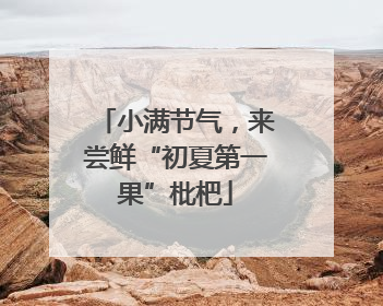 小满节气，来尝鲜“初夏第一果”枇杷