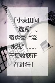 小麦田间“选秀”、蚕房变“流水线”……三夏收获正在进行