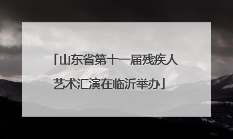 山东省第十一届残疾人艺术汇演在临沂举办