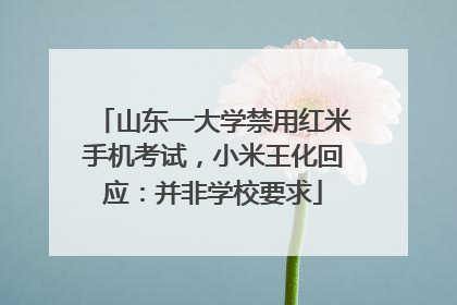 山东一大学禁用红米手机考试，小米王化回应：并非学校要求