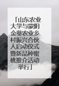 山东农业大学与蒙阴金葵农业乡村振兴合伙人启动仪式暨新品种蜜桃推介活动举行