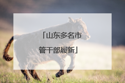 山东多名市管干部履新
