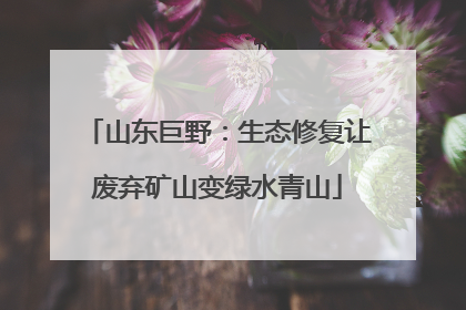 山东巨野：生态修复让废弃矿山变绿水青山