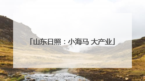 山东日照：小海马 大产业
