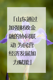 山东通过加强财政金融的协同联动 为民营经济发展加力赋能