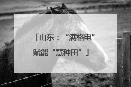 山东：“满格电”赋能“慧种田”