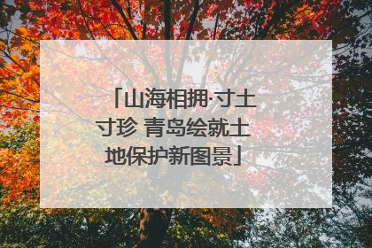 山海相拥·寸土寸珍 青岛绘就土地保护新图景