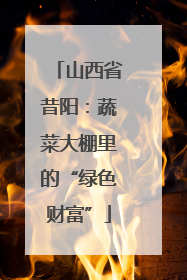 山西省昔阳：蔬菜大棚里的“绿色财富”