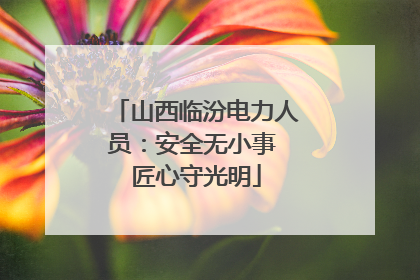 山西临汾电力人员：安全无小事 匠心守光明
