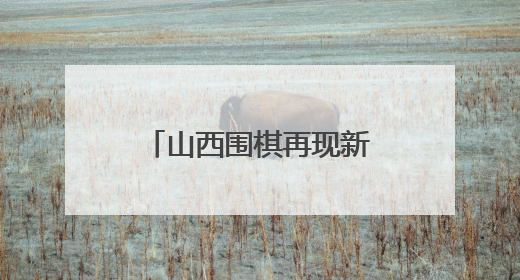 山西围棋再现新星 14岁小将行泓丞斩金夺银