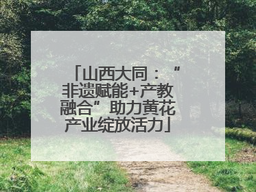 山西大同：“非遗赋能+产教融合”助力黄花产业绽放活力
