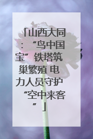 山西大同：“鸟中国宝”铁塔筑巢繁殖 电力人员守护“空中来客”