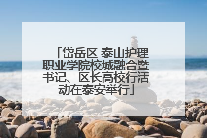 岱岳区 泰山护理职业学院校城融合暨书记、区长高校行活动在泰安举行
