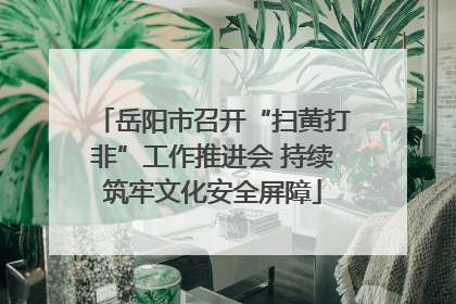 岳阳市召开“扫黄打非”工作推进会 持续筑牢文化安全屏障