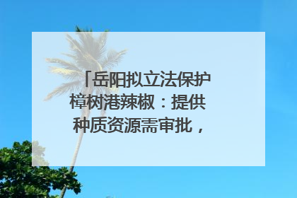 岳阳拟立法保护樟树港辣椒：提供种质资源需审批，违规最高罚5万