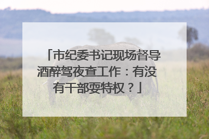市纪委书记现场督导酒醉驾夜查工作：有没有干部耍特权？