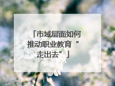 市域层面如何推动职业教育“走出去”
