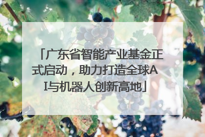 广东省智能产业基金正式启动，助力打造全球AI与机器人创新高地